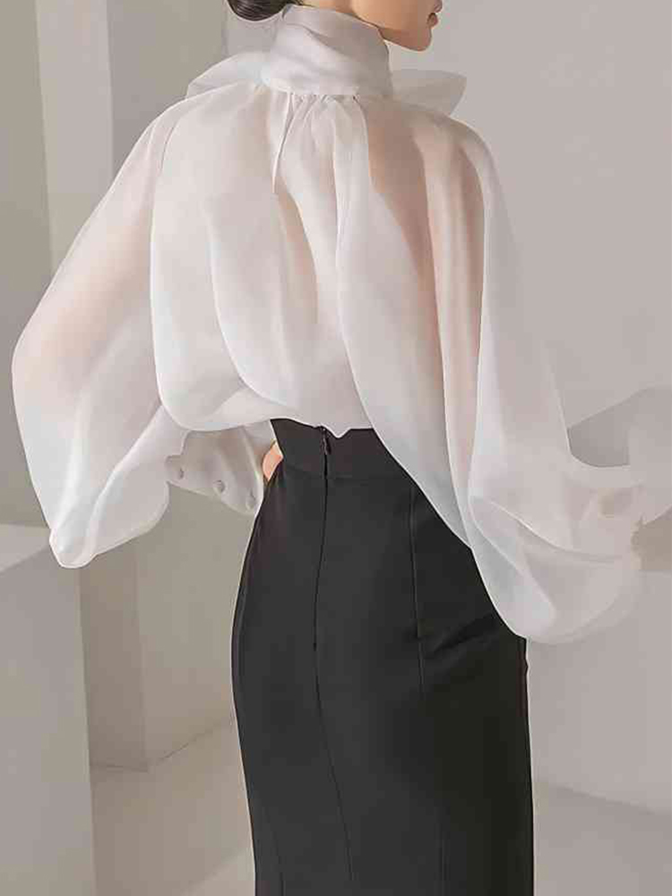 Women's Elegant Lantern Sleeve - Street Fashion Necklace review and price